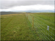 SD8597 : Boundary fence on Great Shunner Fell by Philip Barker