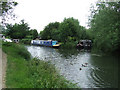 Canal boats on the Stort Navigation