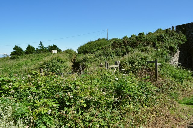 A short, overgrown footpath near Lee Bridge
