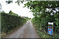 Looking down Buttington Terrace