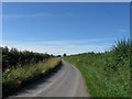 Country Lane towards Marsh House