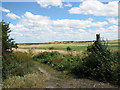 Railway trackbed crossing footpath