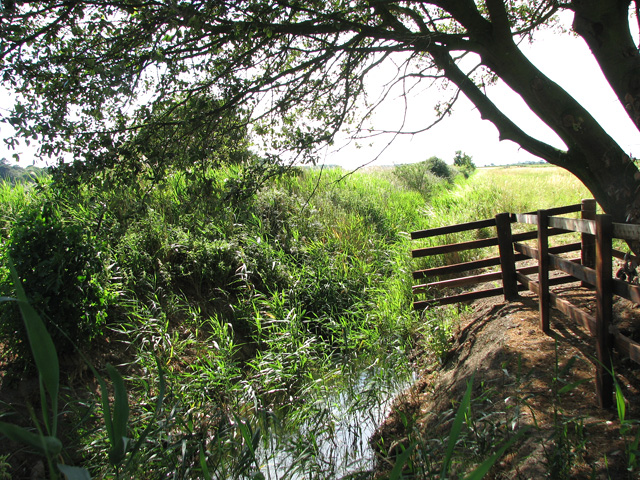 Drainage ditch south of Holkham Gap