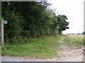 TM2864 : Footpath to the B1120 Badingham Road by Geographer