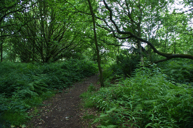 The path to Ashurst Beacon