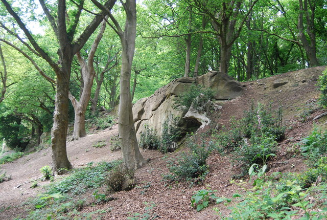 An outcrop of Tunbridge Wells Sandstone above Happy Valley