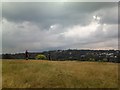 View of Highgate Village from Hampstead Heath