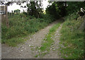 Track to Nant Coed-y-mynydd