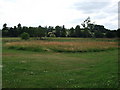 Fields close to Priors Hardwick church