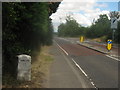 Milestone on Island Road