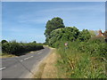 Junction of Marsh Lane with a minor road, Merston