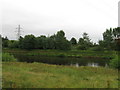 River Eden, Carlisle