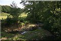 The River Carey from Heale bridge   