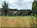 Fields near Mill Farm, Dinnington