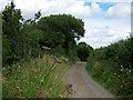 Lane near Mill Farm, Dinnington