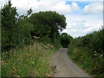 ST4113 : Lane near Mill Farm, Dinnington by Ken Grainger