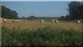 View from the River Little Stour