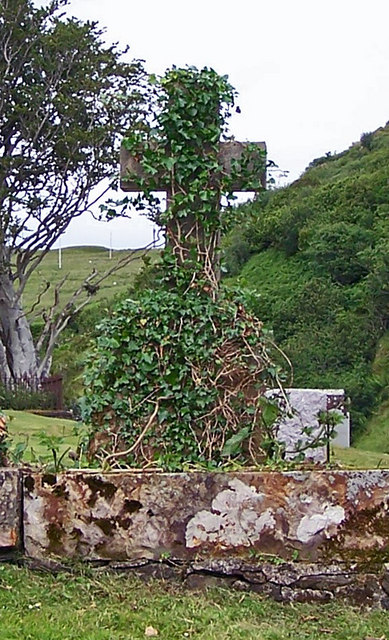 Ivy covered cross