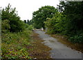 Footpath along former quarry road