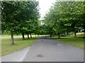 Avenue in Heaton Park