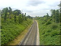 Railway cutting viewed from footbridge east of Albany Park Station