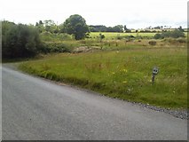 O1757 : Landscape, Co Dublin by C O'Flanagan