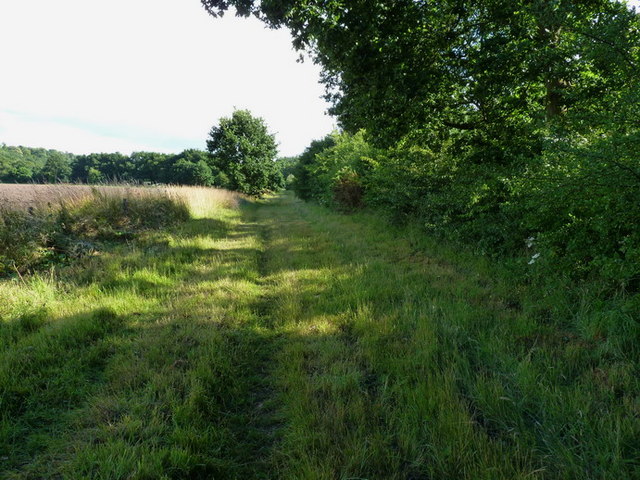 South along the bridleway towards Old Park