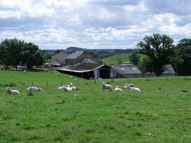Lochmill Farm