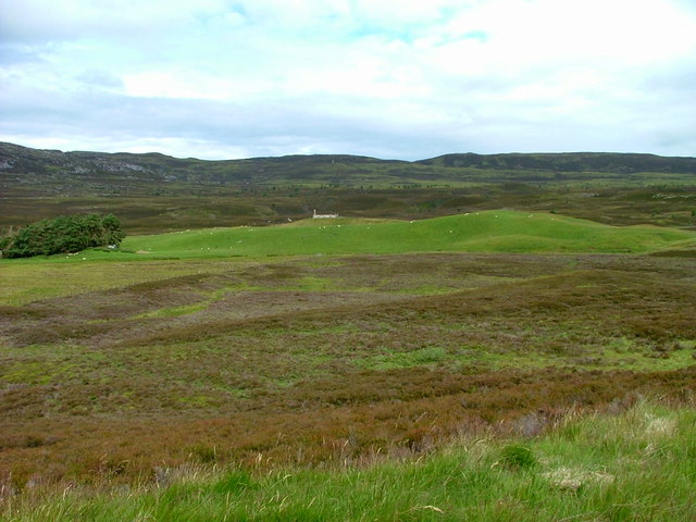 Moorland north of Duthil