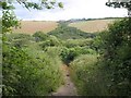 Bridleway into the Porth valley