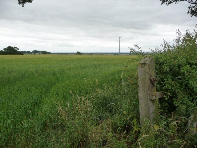 Entrance to cereal field