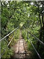 Bridleway in the Porth valley