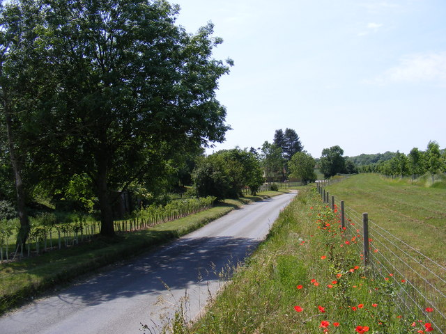 Peasenhall Road