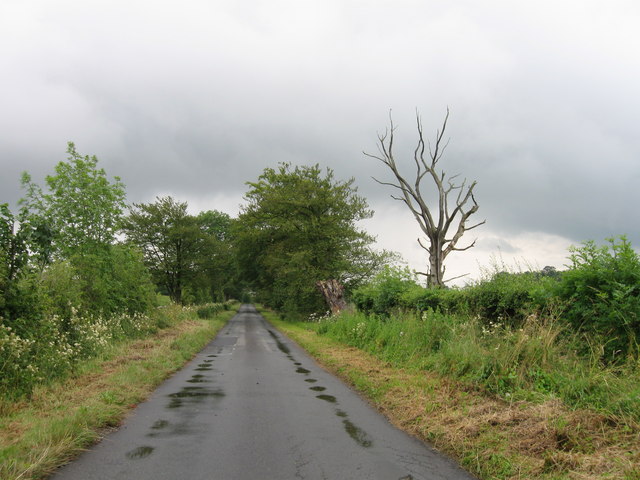 Country Lane near Dorryfield