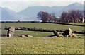 Hendrefor Burial Chamber