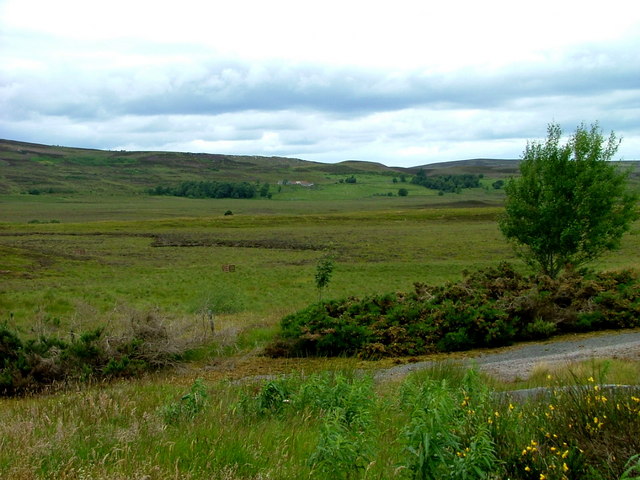 Moorland at Lochnellan