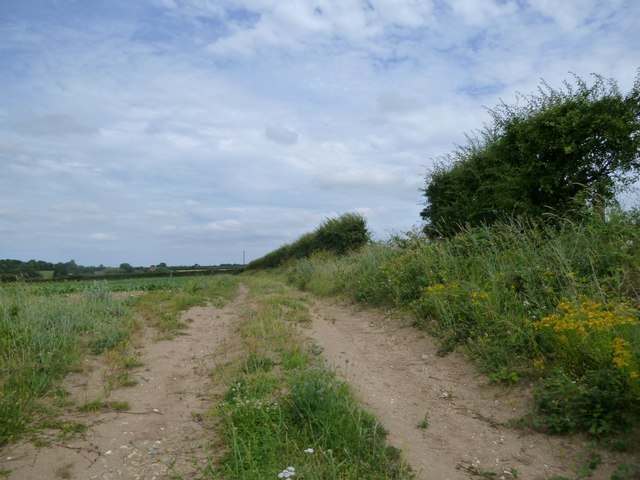 Wighton: field track