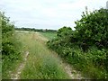 TF9339 : Wighton: field track by Keith Salvesen