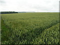 Farmland near  Kirby Wold Farm