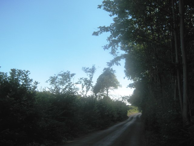 Stodmarsh Road in Trenleypark Wood