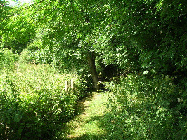 Wolds Way footpath Settrington Wood