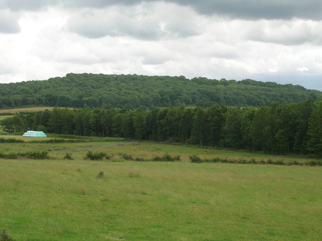 Farmland near Kirk Hill