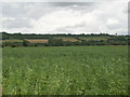 Farmland near  Settrington