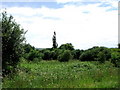 Oreham Common, Woodmancote, West Sussex