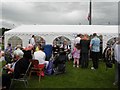 "The Twelfth" celebrations, Newtownstewart (197)