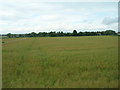 Farmland near Underbrow Farm