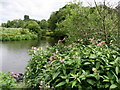 Confluence of the Tees and Leven