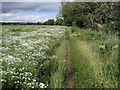 Teesdale Way opposite Roundhill Village