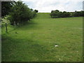 Pastures near Egglescliffe