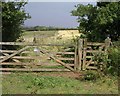 SW8760 : Gate near Lady Nance by Derek Harper